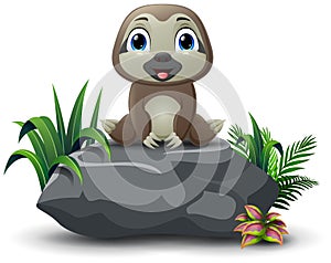 Cartoon funny baby sloth sitting on the stone