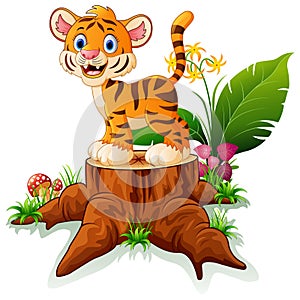 Cartoon funny baby tiger posing on tree stump