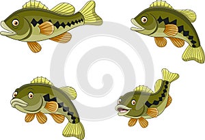 Cartoon funny bass fish collection