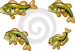 Cartoon funny bass fish collection on white background