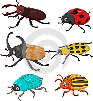 Cartoon funny beetle collection