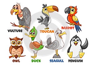 Cartoon Funny Bird Characters. Vulture, Toucan, Parrot and Owl, Duck, Seagull or Penguin Colorful Cute Avian Personages