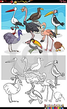 Cartoon funny birds group coloring book page