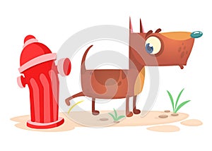 Cartoon funny brown pitbull dog pees on hydrant