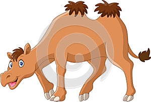 Cartoon funny camel smile and standing