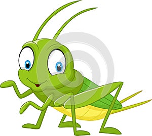 Cartoon funny cricket