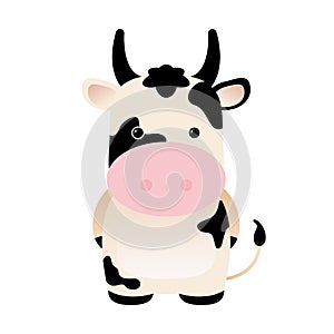 Cartoon funny cute cow isolated on white background. Can be used for t-shirt print, kids wear fashion design, baby shower