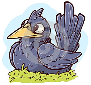 Cartoon funny cute sitting crow bird vector icon