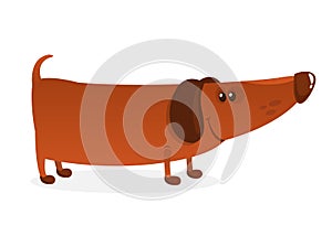Cartoon Funny Dachshund Dog. Vector Illustration.