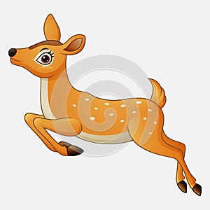 Cartoon funny deer running