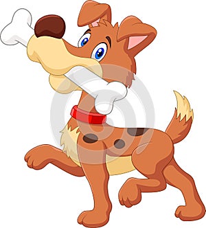 Cartoon funny dog with bone isolated on white background