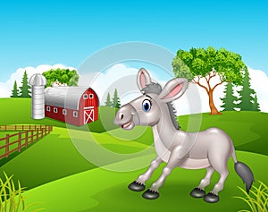 Cartoon funny donkey in the farm