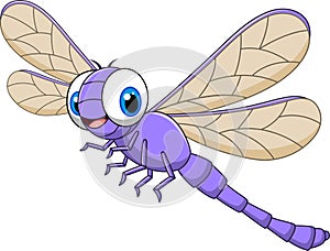 Cartoon funny dragonfly isolated on white background photo