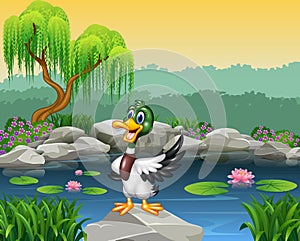 Cartoon funny duck presenting