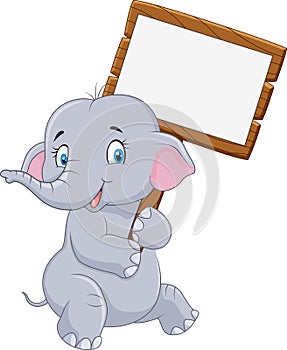 Cartoon funny elephant holding blank sign