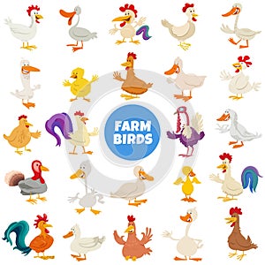 Cartoon funny farm birds animal characters big set