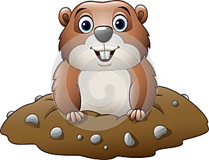 Cartoon funny groundhog