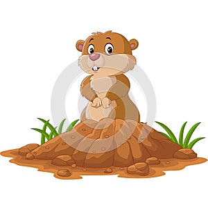 Cartoon funny groundhog standing outside its burrow