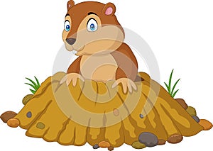 Cartoon funny groundhog standing outside its burrow