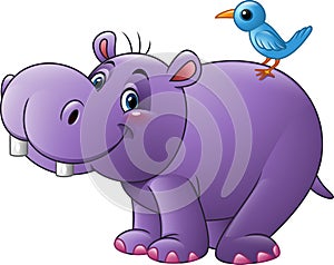 Cartoon funny hippo with bird photo