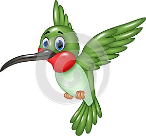 Cartoon funny hummingbird flying on white background