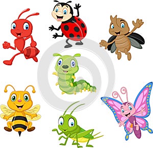 Cartoon funny insect collection set