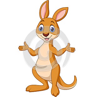 Cartoon funny Kangaroo isolated on white background