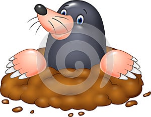 Cartoon funny mole photo