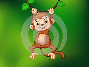 Cartoon funny monkey hanging on a vine