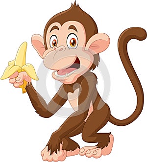 Cartoon funny monkey holding banana isolated on white background