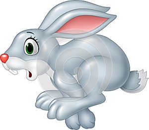 Cartoon funny panic bunny running isolated on white background