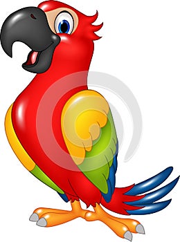 Cartoon funny parrot isolated on white background photo