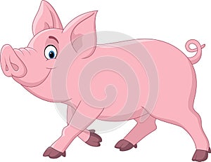 Cartoon funny pig