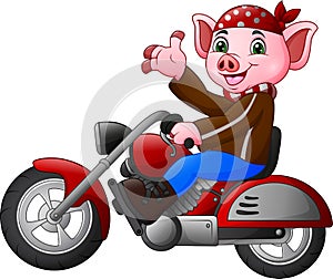 Cartoon funny Pig riding a motorcycle