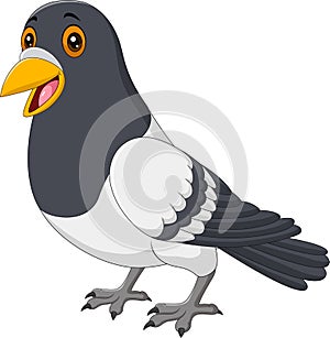 Cartoon funny pigeon isolated on white background