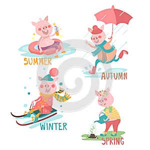 Cartoon, funny pigs with seasonal activity set - summer, autumn, winter, spring