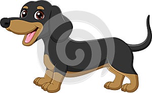 Cartoon funny purebred dachshund dog