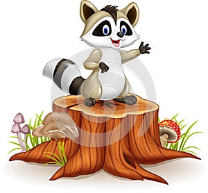 Cartoon funny raccoon cartoon waving hand on tree stump