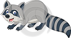 Cartoon funny raccoon isolated on white background