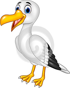 Cartoon funny seagull posing isolated on white background