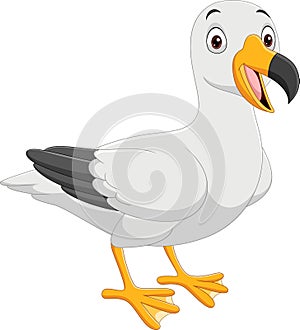 Cartoon funny seagull on white background