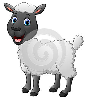 Cartoon funny sheep posing isolated on white background