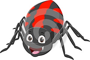 Cartoon funny spider isolated on white background