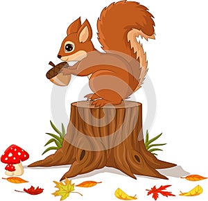 Cartoon funny squirrel holding pine cone on tree stump