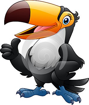 Cartoon funny toucan giving thumb up isolated on white background