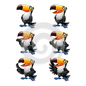 Cartoon funny toucan illustration collections