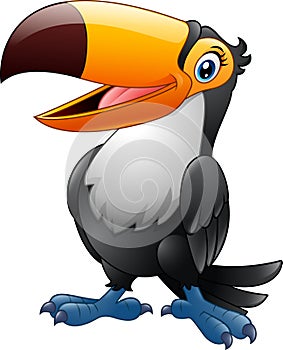 Cartoon funny toucan isolated on white background