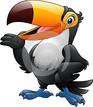 Cartoon funny toucan presenting