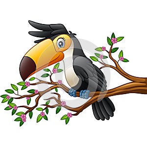 Cartoon funny toucan on a tree branch