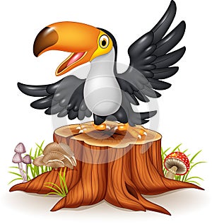 Cartoon funny toucan on tree stump